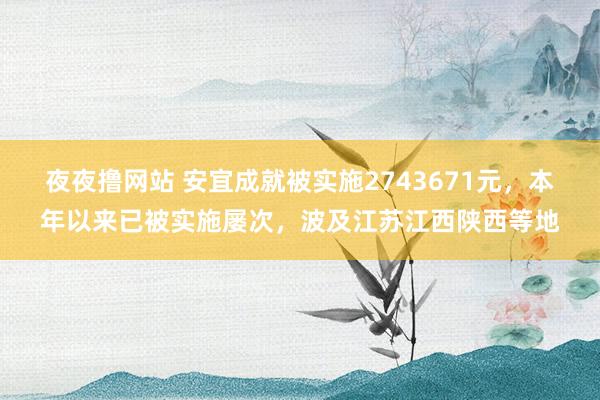 夜夜撸网站 安宜成就被实施2743671元，本年以来已被实施屡次，波及江苏江西陕西等地