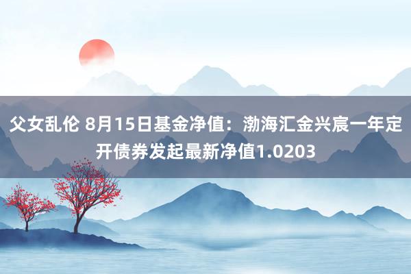 父女乱伦 8月15日基金净值：渤海汇金兴宸一年定开债券发起最新净值1.0203